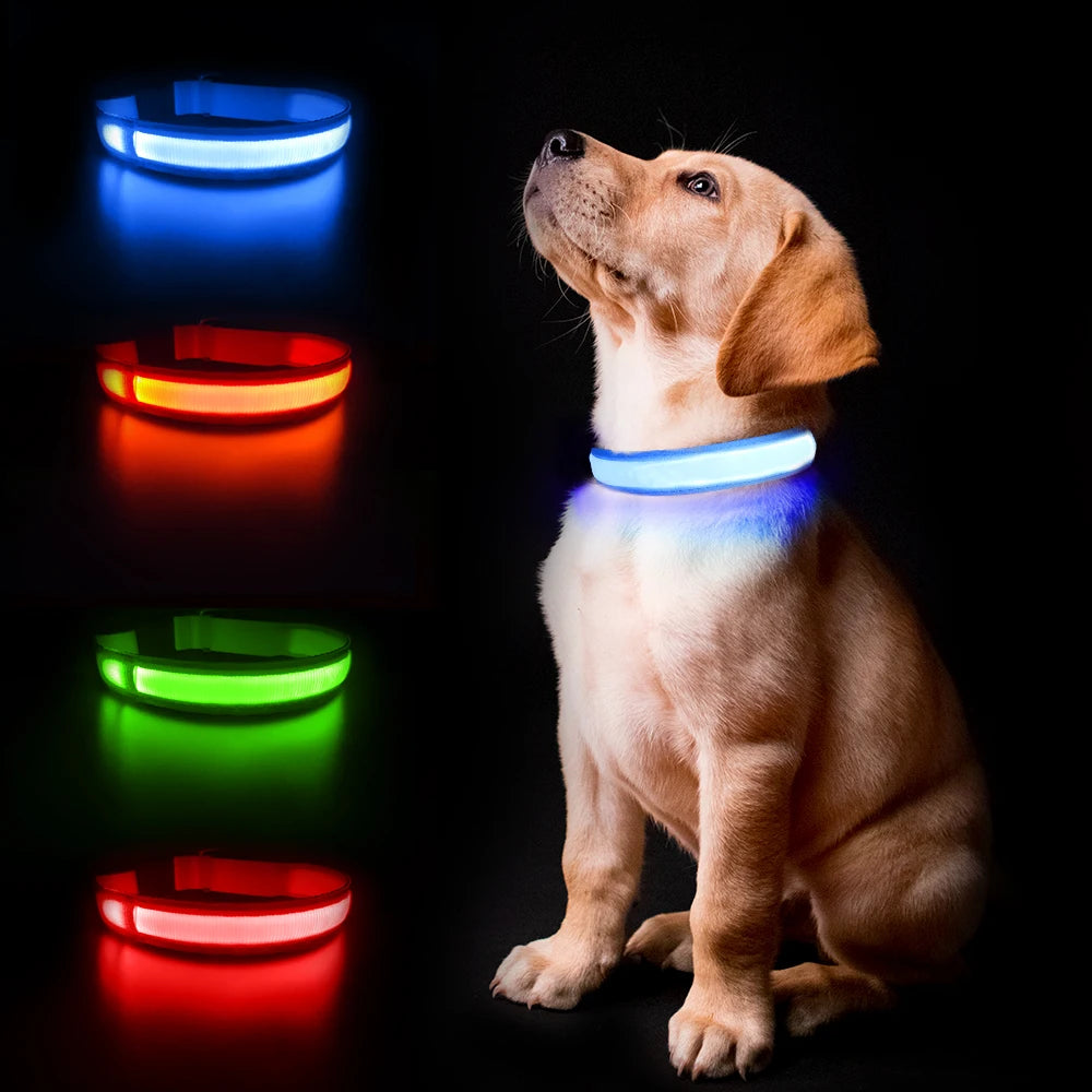 Luminous Pet Safety Collars