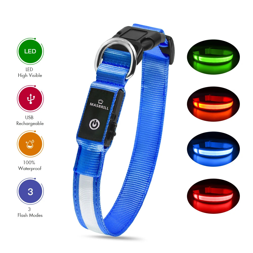 Luminous Pet Safety Collars