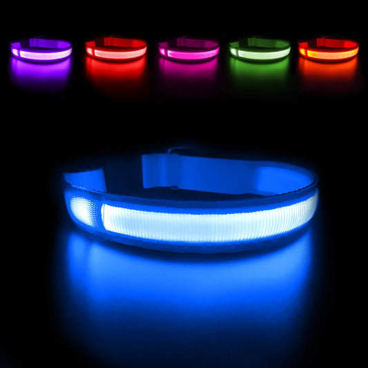 Luminous Pet Safety Collars