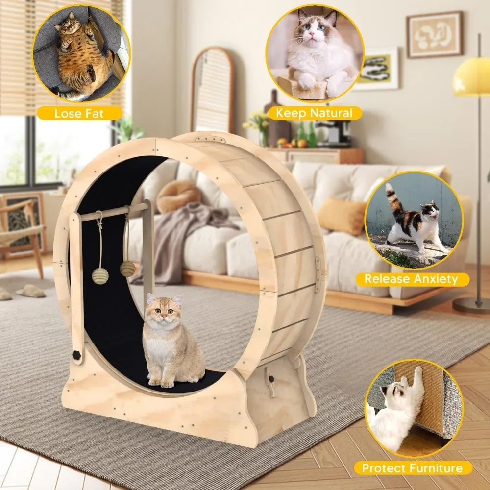 Pets Fitness Weight Loss Device, Cats/other small animals Interesting Carnival Wheel