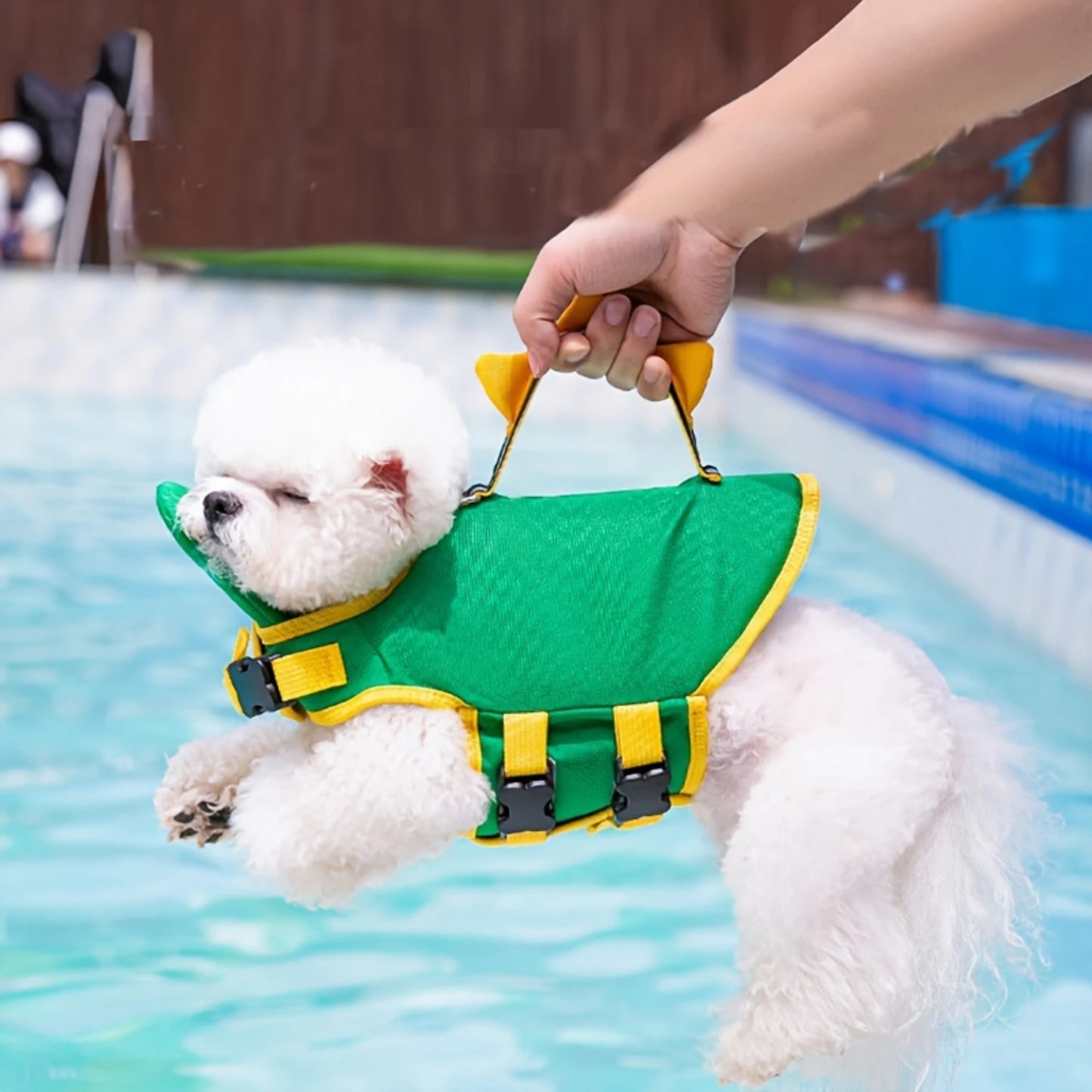 Dog Life Jacket, Cute Dinosaur Design Dog hoodies