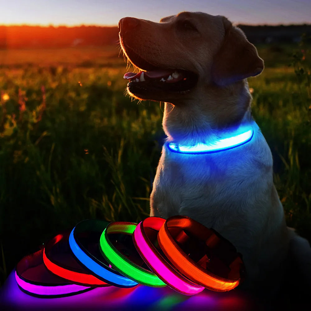 Luminous Pet Safety Collars