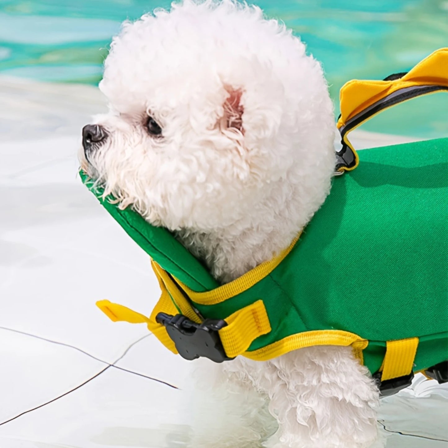 Dog Life Jacket, Cute Dinosaur Design Dog hoodies